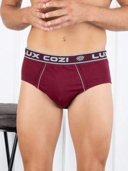 Bighsot Basic Premium Combed Cotton Brief with Ultra Soft Waistband - Maroon