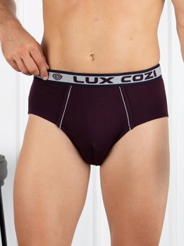 Bighsot Basic Premium Combed Cotton Brief with Ultra Soft Waistband - Wine