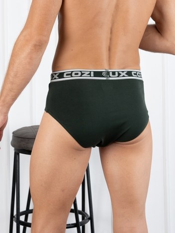 Bighsot Basic Premium Combed Cotton Brief with Ultra Soft Waistband - Green