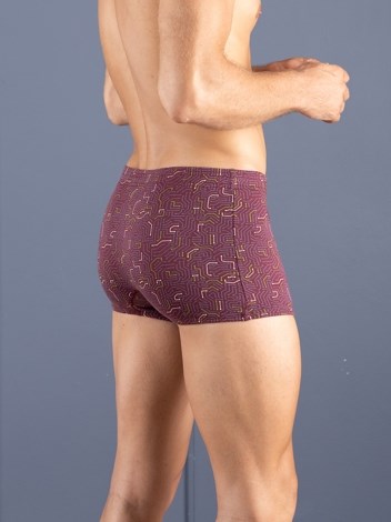 Bigshot Semi Long Inner Elastic Soft Combed Cotton Mini Trunk with Ultra soft Waistband - Printed