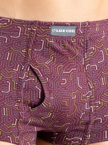 Bigshot Semi Long Inner Elastic Soft Combed Cotton Mini Trunk with Ultra soft Waistband - Printed