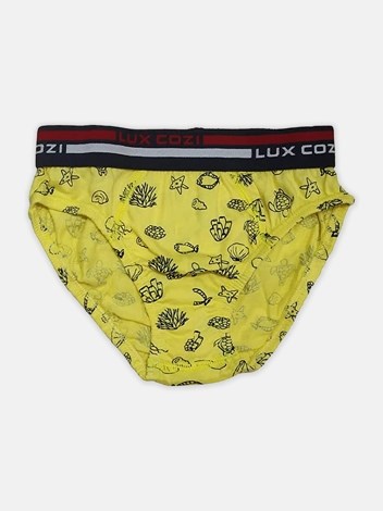 Cozi Boyz Print Brief Soft Combed Cotton Outer Elastic with Ultrasoft Waistband - Assorted (Pack of 2)