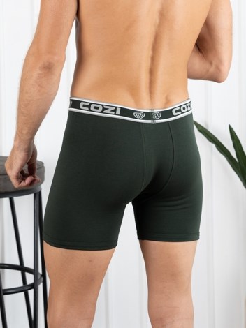 Bigshot Long Interlock Soft Combed Cotton Trunk with Ultrasoft Waistband - Green